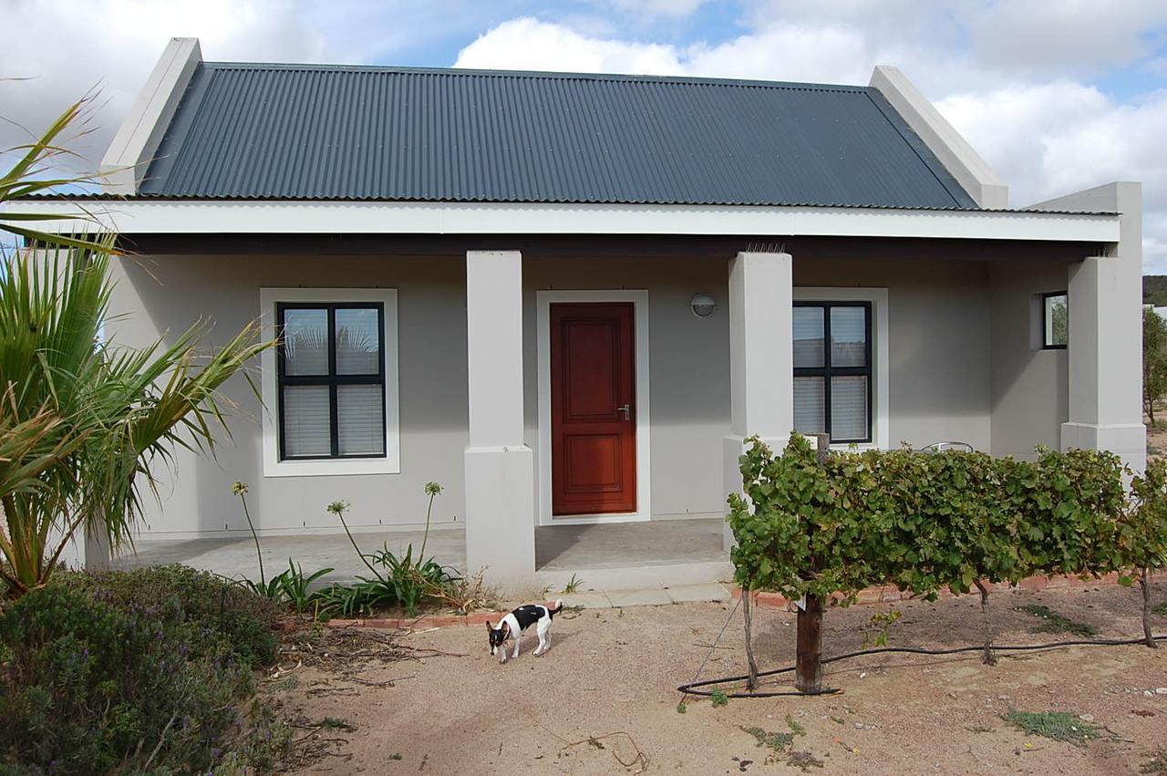 Hostal Longacre Olive&Vineyard Estate Langebaan Exterior foto