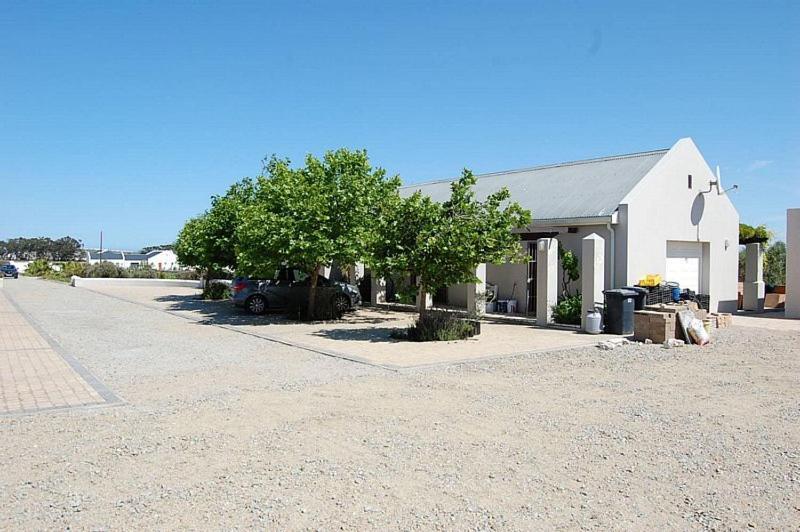 Hostal Longacre Olive&Vineyard Estate Langebaan Exterior foto