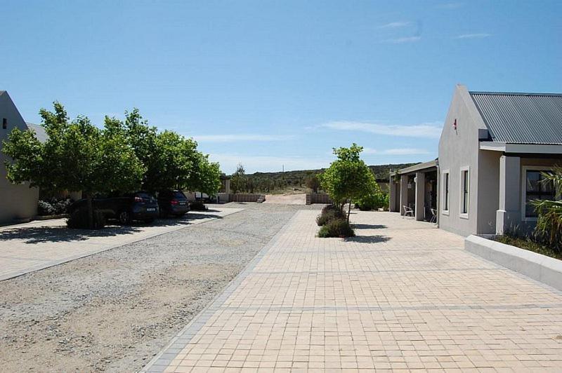 Hostal Longacre Olive&Vineyard Estate Langebaan Exterior foto